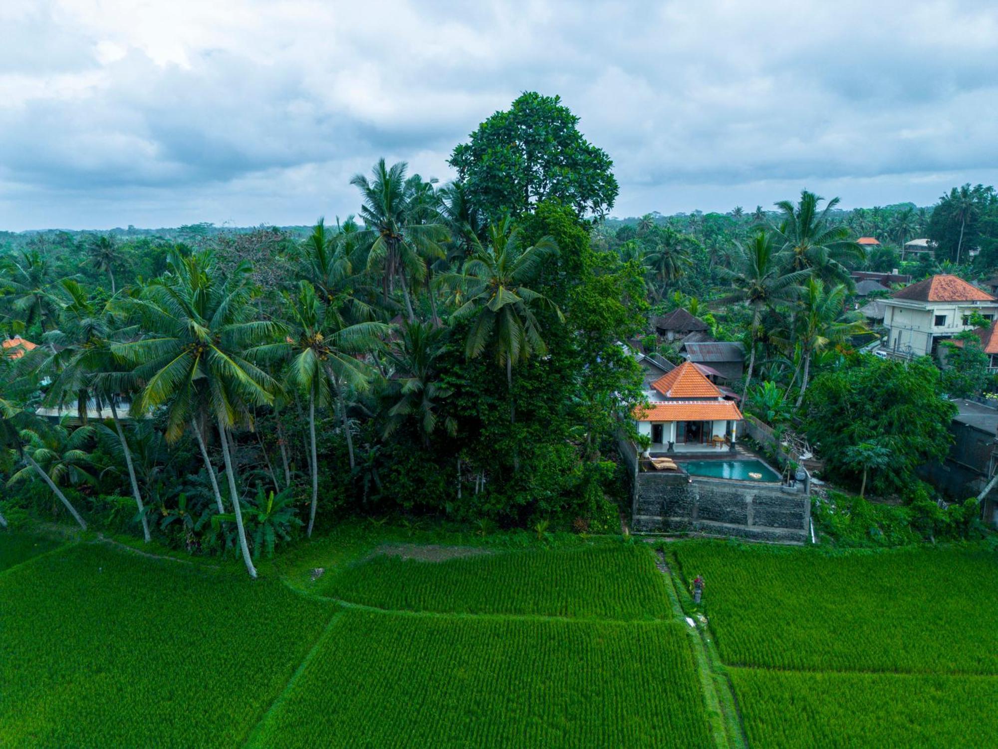 Jatining Ubud Villa & Spa מראה חיצוני תמונה